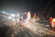 Tanah Longsor dan Pohon Tumbang Menutup Akses jalan Akibat Hujan Lebat