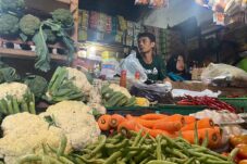 Daftar Harga Sayur di Kabupaten Malang Per Tanggal 6 Januari 2025