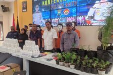 Lulus Kuliah, Sarjana Pertanian Asal Karangploso Buka Industri Pembibitan Ganja
