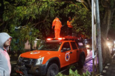 Hujan Deras dan Angin Kencang Akibatkan Pohon Tumbang di Kepanjen