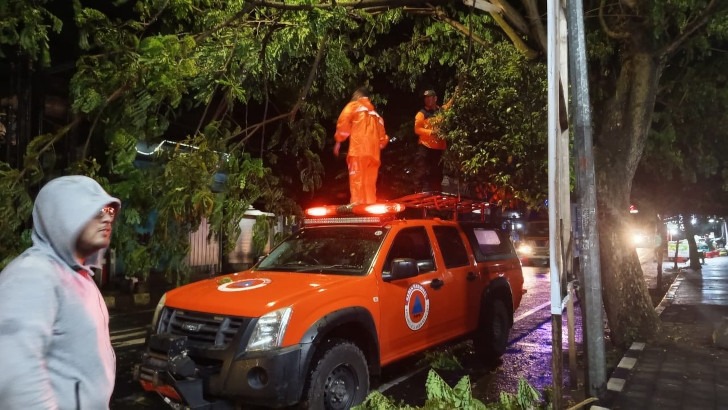 Hujan Deras dan Angin Kencang Akibatkan Pohon Tumbang di Kepanjen