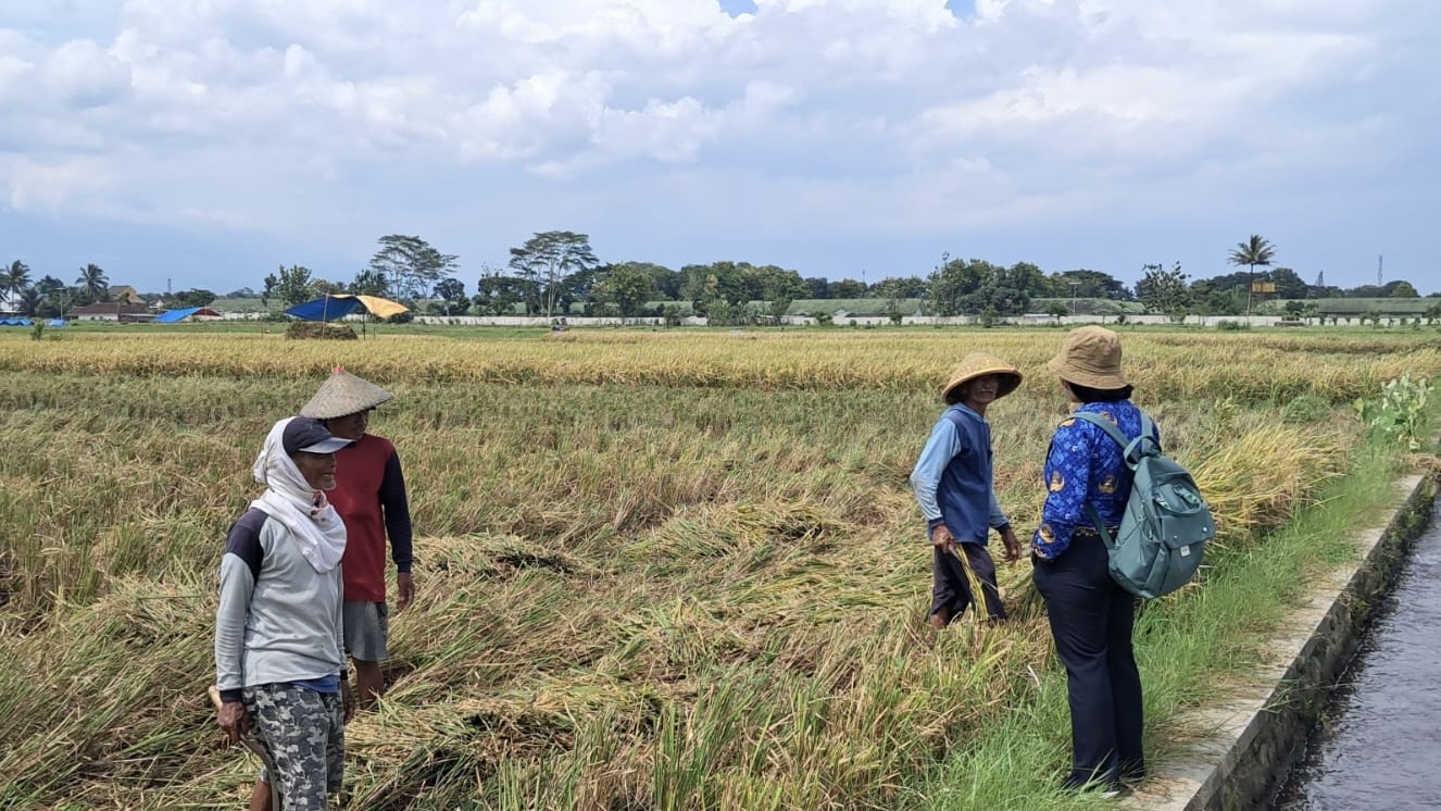 b2a03d92 d3c7 4e52 99c9 1045b79d9b4b