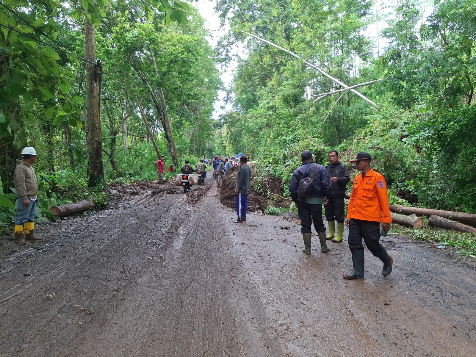 Jalan Raya Gunung Geger Malang Ditutup Akibat Longsor dan Pohon Tumbang