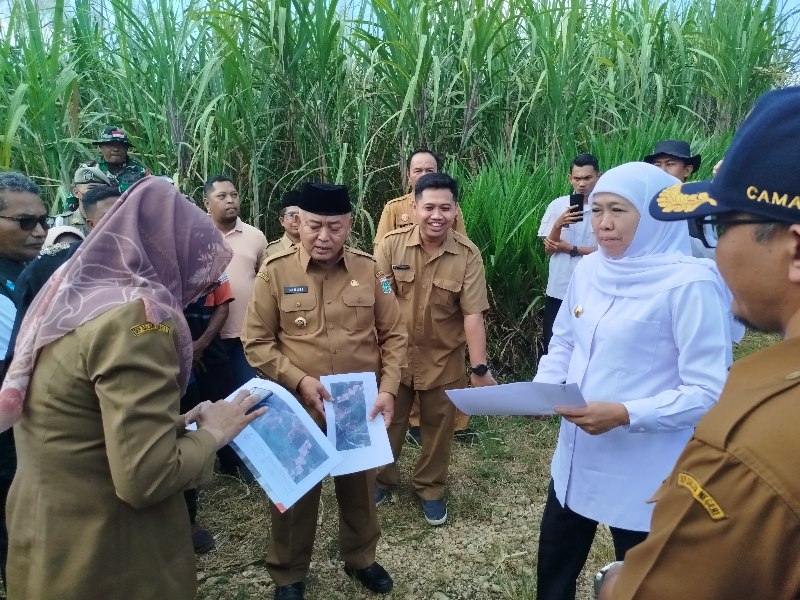 Gubenur Jatim Khofifah Indar Parawansa Tinjau Lokasi Pembangunan Sekolah Rakyat 4 IMG 20250428 175157