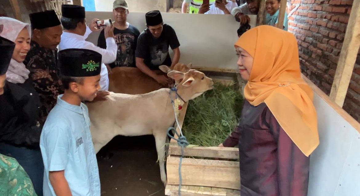 Khofifah Wujudkan Cita-cita Bocah SD di Malang Jadi Peternak Sapi 7 Gubernur Jawa Timur serahkan hadiah sapi ke bocah SD di Singosari, Kabupaten Malang pada Minggu (18/5/2025) (Foto: Puput Hajarani/ tagarjatim.id)
