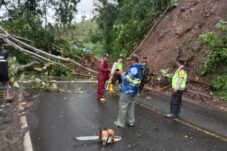 1b8d8034 7971 4bb6 81eb 50ec8bd6764e