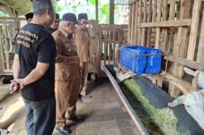 IMG 20250630 WA0012 scaled