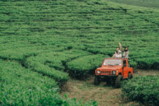 Liburan Seru dan Tak Terlupakan di Wisata Agro Wonosari 6 IMG 20250623 114443