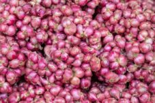 Harga Bawang Merah di Kabupaten Malang Naik