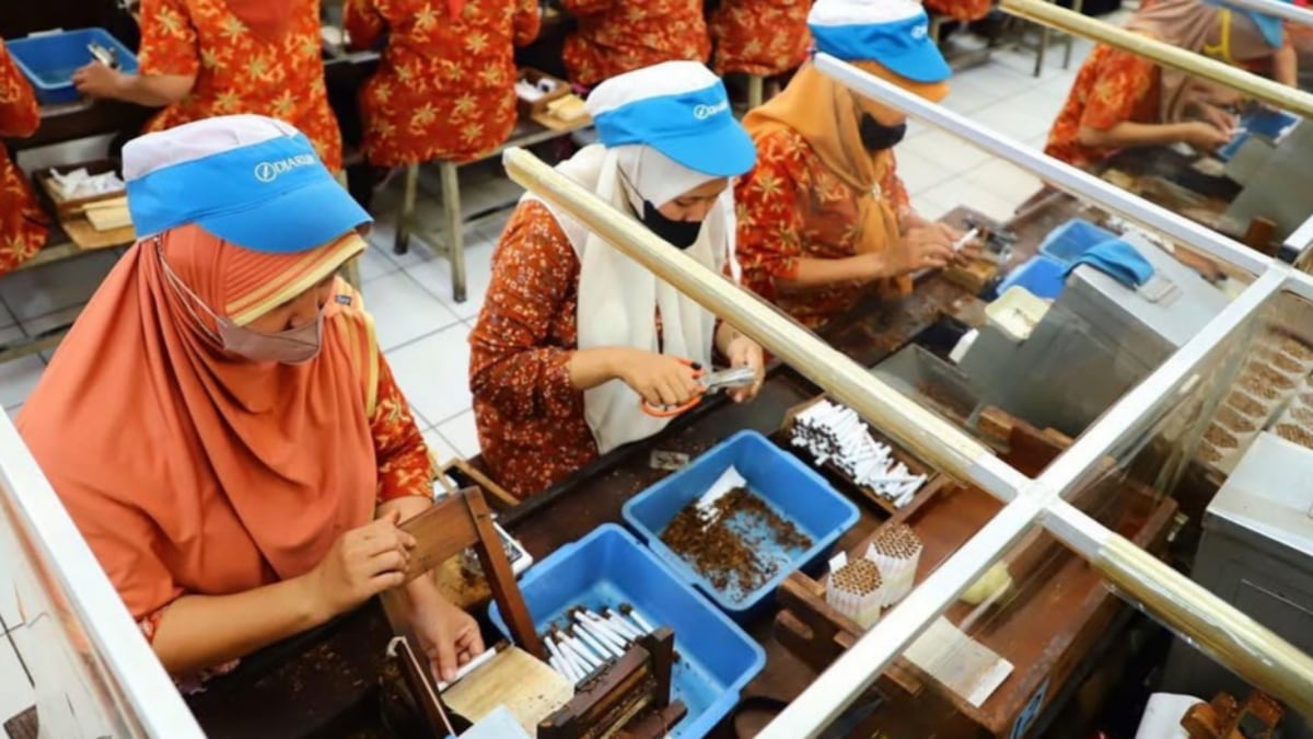 43 Ribu Buruh Rokok dan Petani Tembakau-Cengkeh di Malang Terima BLT Rp600 Ribu Akhir Tahun