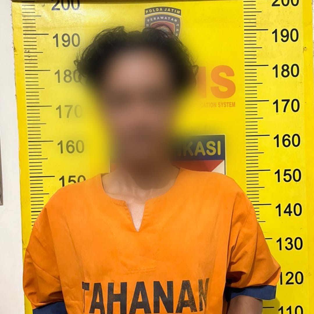 0376099d 96b3 4765 903b 94543606bb6c