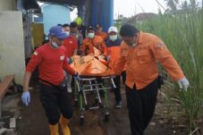 1b117cd5 fc8e 432d adbf a52021ba181a