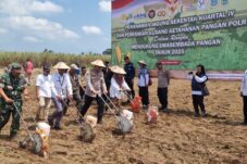 6397812f 6d0d 466c ab96 4e3539c7a6fe