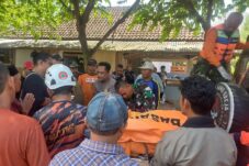 94b5ee02 a77d 44ef 91e2 022be8344df5