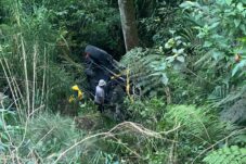 Diduga Rem Blong, Mobil Jeep Hardtop Masuk Jurang Ngadas, Tiga Penumpang Luka