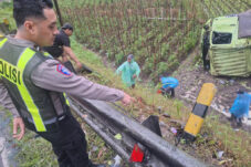 Kecelakaan di Jalur Tengkorak Pujon, Truk Susu Terguling Akibat Rem Blong