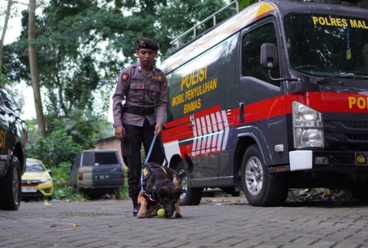 4ad38d4b bff8 4ba9 bdd1 27b56b03a015