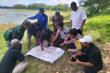 60d5a38d 63bc 450d b371 83a3970625bd