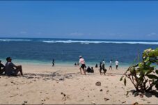 bf06944a 97d3 429d bcd5 5730540ee929 scaled