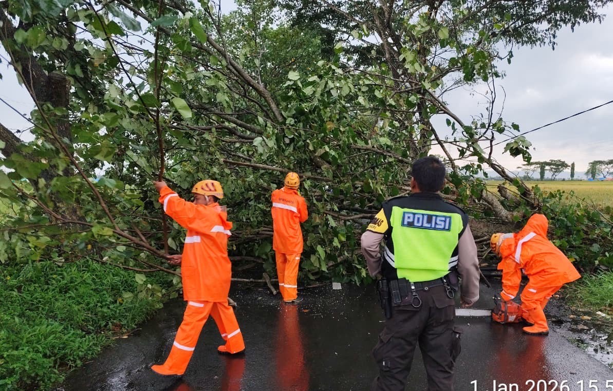 Dua Pohon Tumbang Tutup Jalan Raya Melaten Kepanjen 2 7417f619 9ac0 4245 9ace 68714ba39e5a
