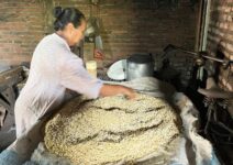 e19468fd 2373 4e73 bbd6 b5e3c3616e5f