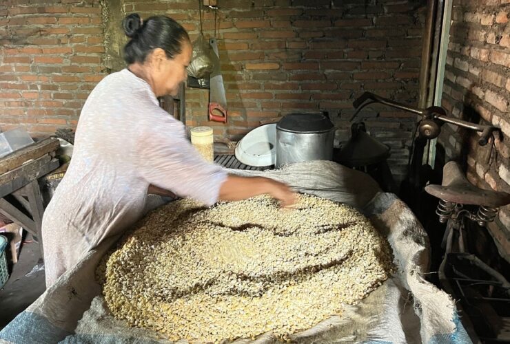 e19468fd 2373 4e73 bbd6 b5e3c3616e5f