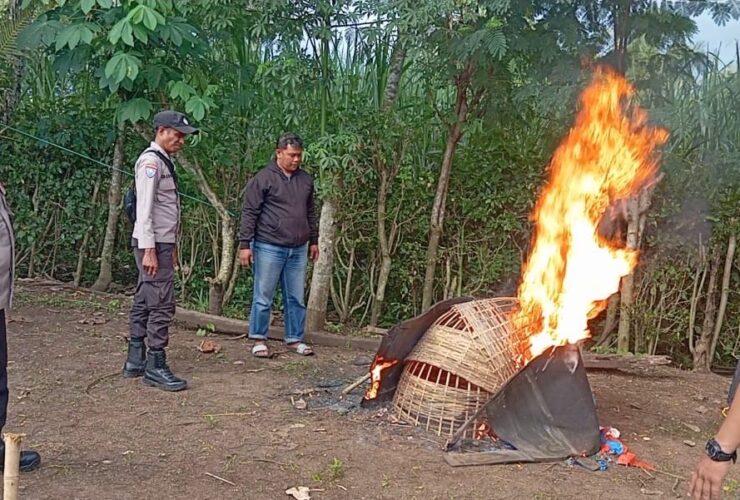 fcb08838 e1a2 482f 9712 d87e20c1d431