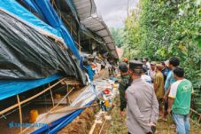 Polres Malang Selidiki di Balik Robohnya Kandang Ayam Wonosari