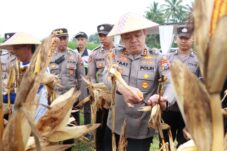 Polres Malang Gelar Panen Raya Jagung di Gondanglegi, Hasilkan 8 Ton 2 78278c94 e82b 4198 9015 7621b5381a5b