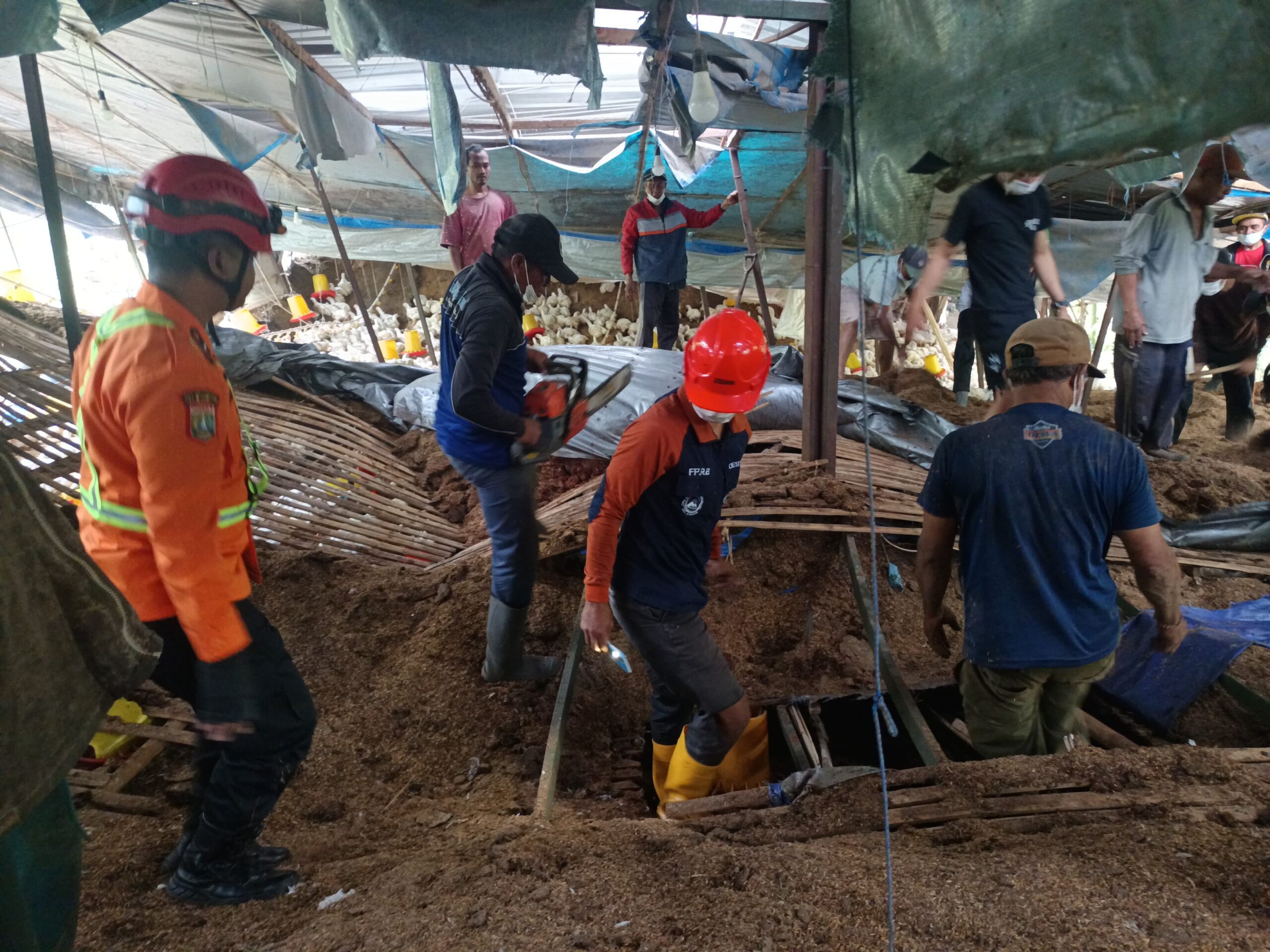 Kandang Ayam Ambruk di Malang, Dua Pekerja Tewas dan Tiga Luka-Luka 10 Kandang Ayam Ambruk di Malang, Dua Pekerja Tewas dan Tiga Luka-Luka