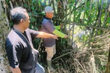 Polsek Poncokusumo Tangkap 2 Pencuri Ratusan Kilo Jeruk 9 Polsek Poncokusumo Tangka 2 Pencuri Ratusan Kilo Jeruk