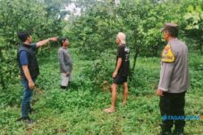 Terduga Pencuri Ratusan Kg Jeruk di Poncokusumo Diamankan Polisi 2 Terduga Pencuri Ratusan Kg Jeruk di Poncokusumo Diamankan Polisi