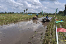 Unik, Petani di Malang Gelar Lomba Balap Traktor di Sawah 8 IMG 20260420 122329