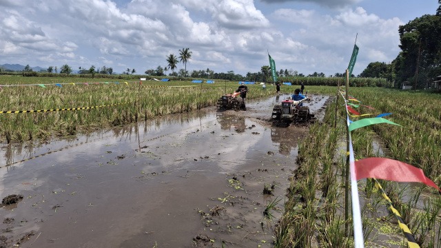 Unik, Petani di Malang Gelar Lomba Balap Traktor di Sawah 7 IMG 20260420 122329