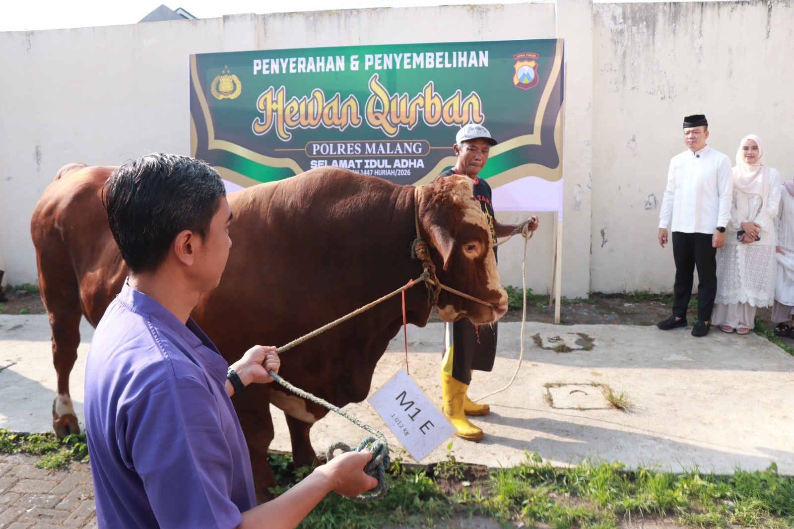Polres Malang Kurban 22 Sapi dan 73 Kambing, Daging Dibagikan ke Warga hingga Ponpes 6 baacd93f 7a93 4648 916b c1f607f82431